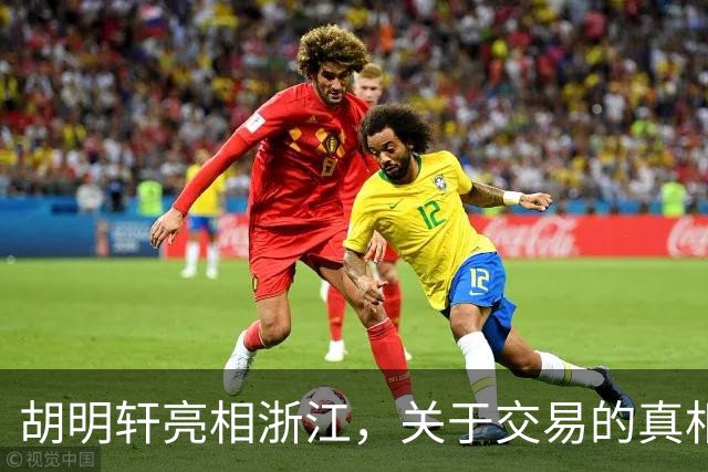 胡明轩亮相浙江，关于交易的真相揭秘